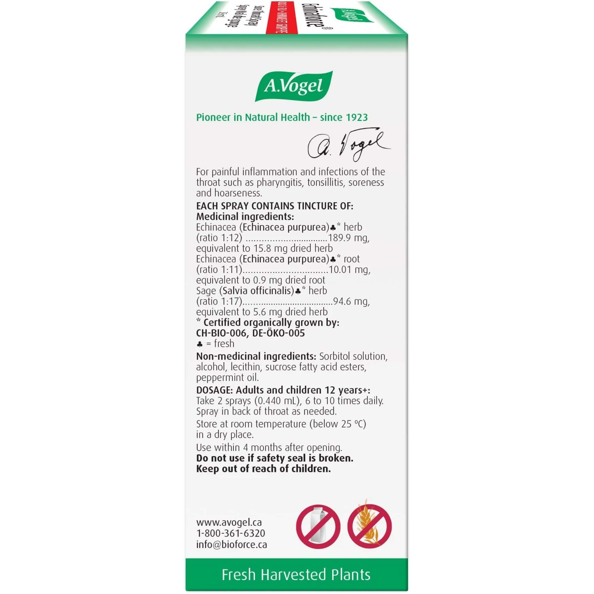 A. Vogel Echinaforce Sore Throat Spray, 30ml - Image 3