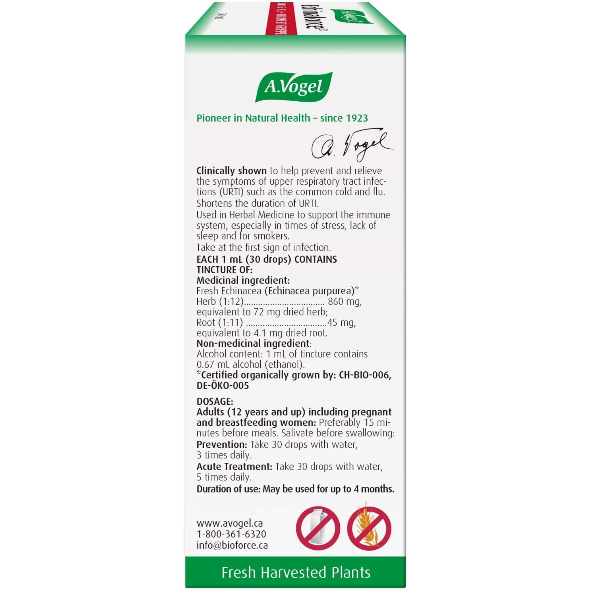 A. Vogel Echinaforce Tincture - Image 3
