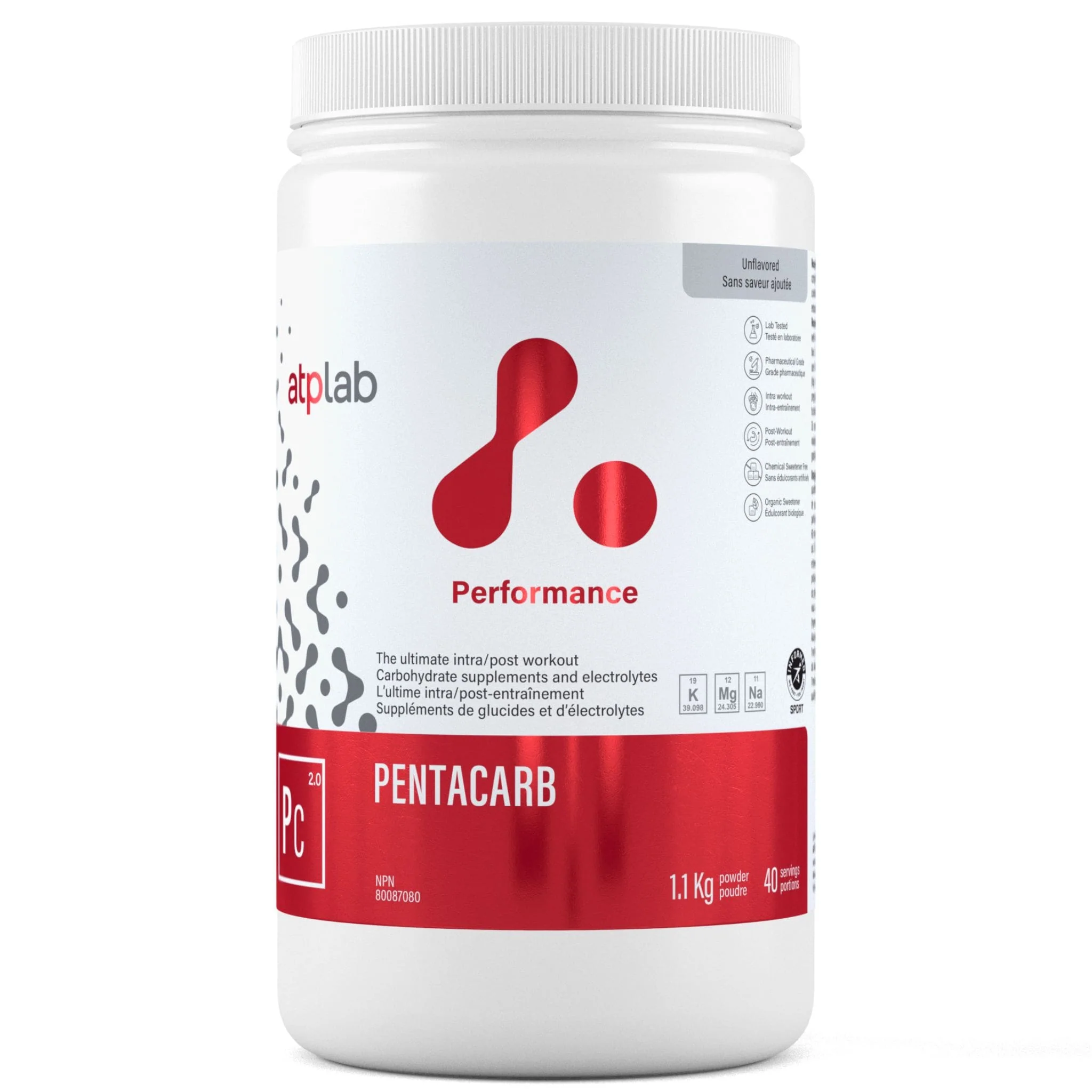 ATP Lab Pentacarb Powder, Supports High-Intensity Exercise Performance, 1.1 kg