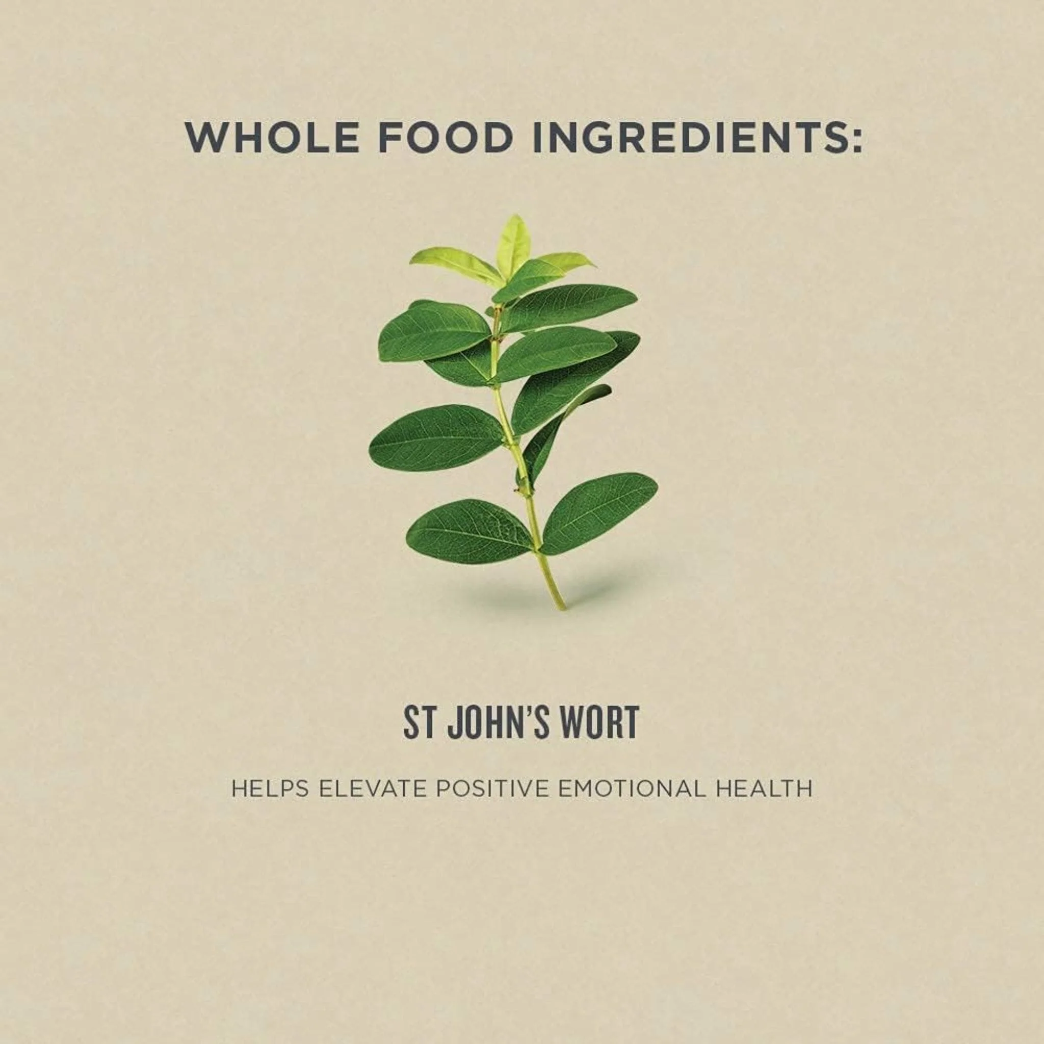 Botanica St John's Wort Liquid Herb, 50ml - Image 4