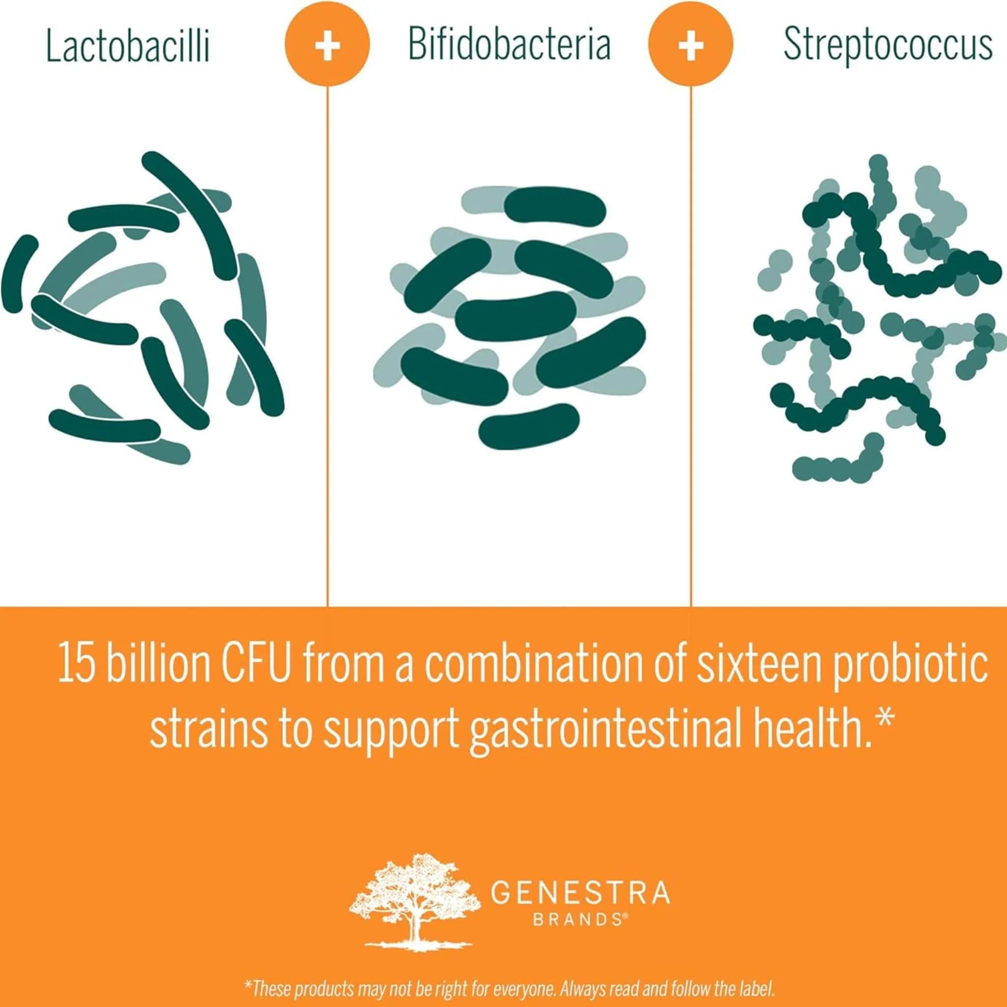 Genestra HMF Multi Strain, 15 Billion CFU, Shelf Stable, 50 Capsules - Image 4