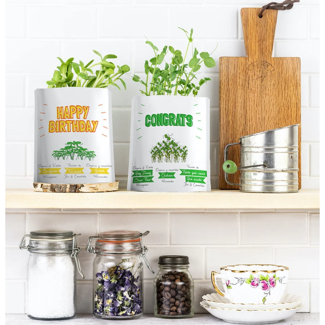 Gift A Green Greeting Cards, Thinking of You Card, Kale Microgreens - Image 2