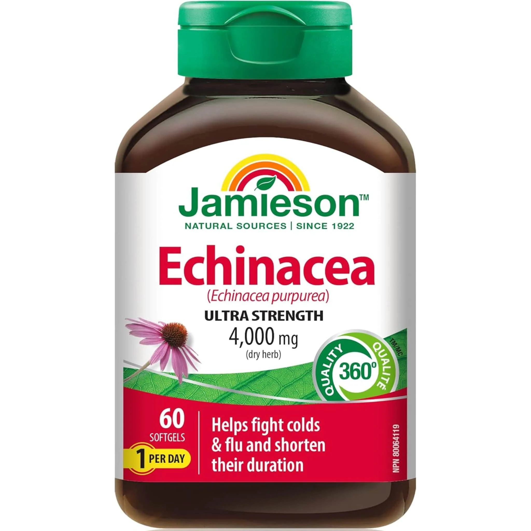 Jamieson Echinacea Ultra Strength 4000mg, 60 softgels