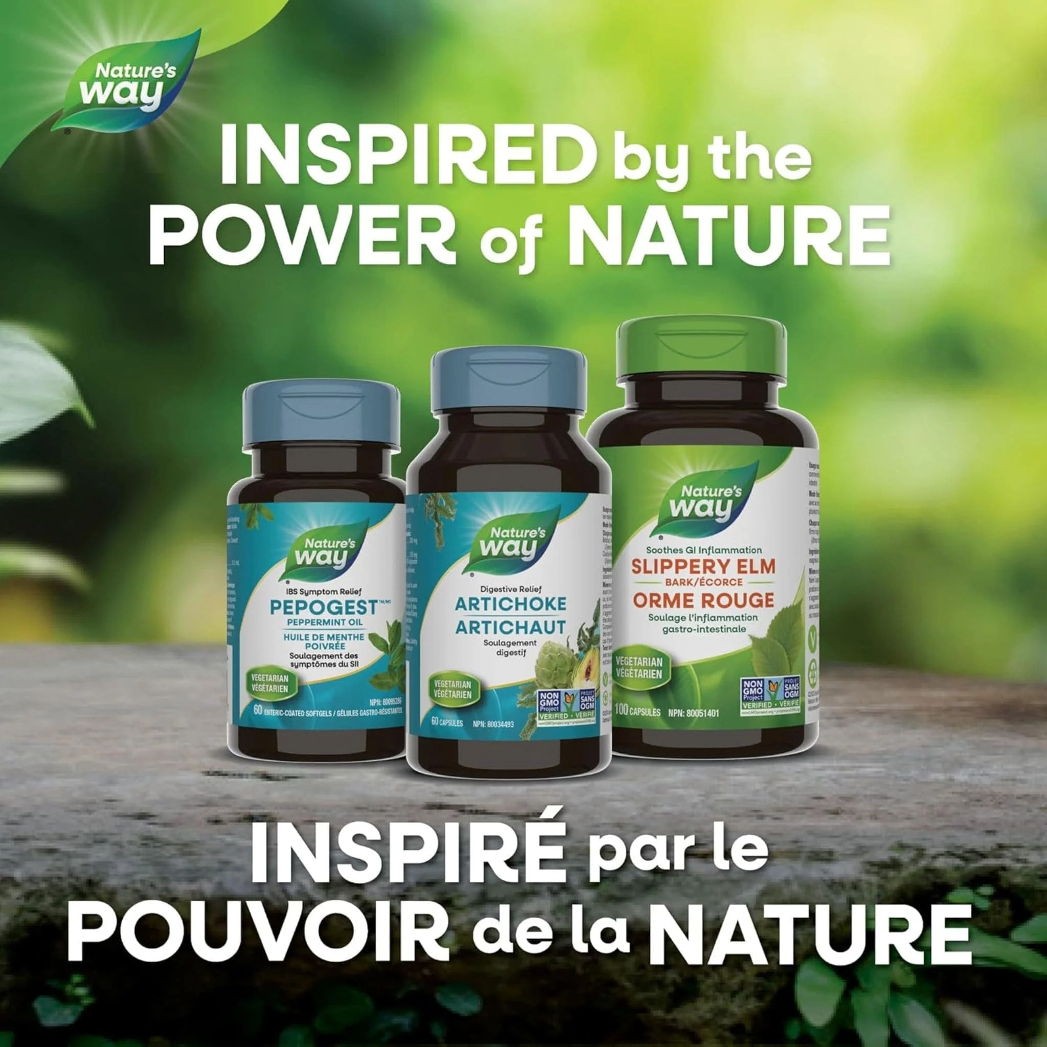 Nature's Way Artichoke Standardized, 60 Capsules - Image 7