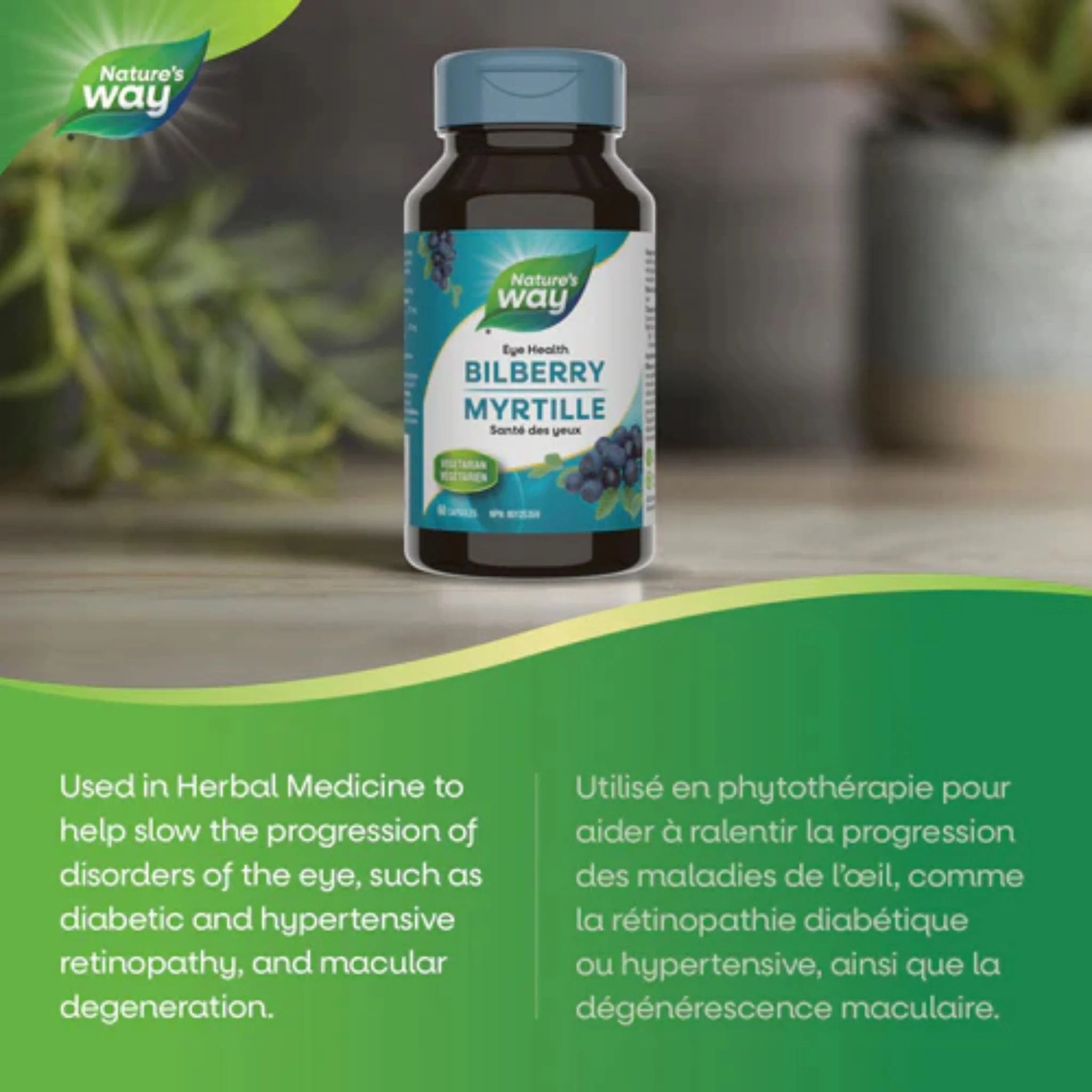 Nature's Way Bilberry Standardized, 60 Vegetable Capsules - Image 3
