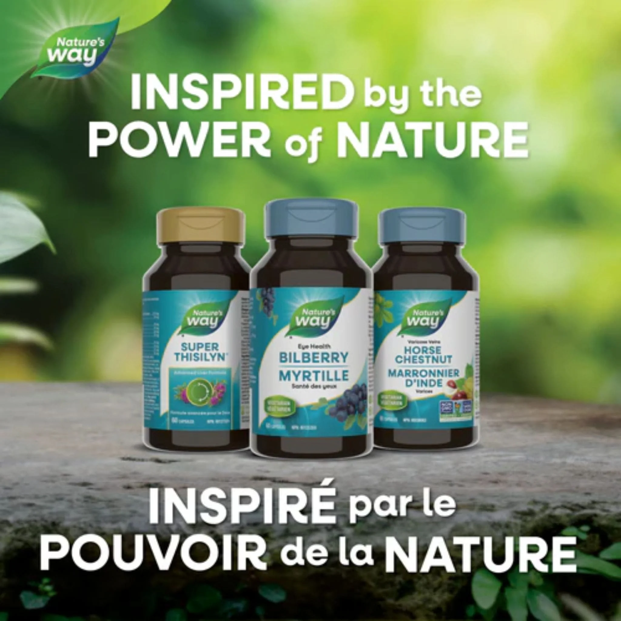 Nature's Way Bilberry Standardized, 60 Vegetable Capsules - Image 5