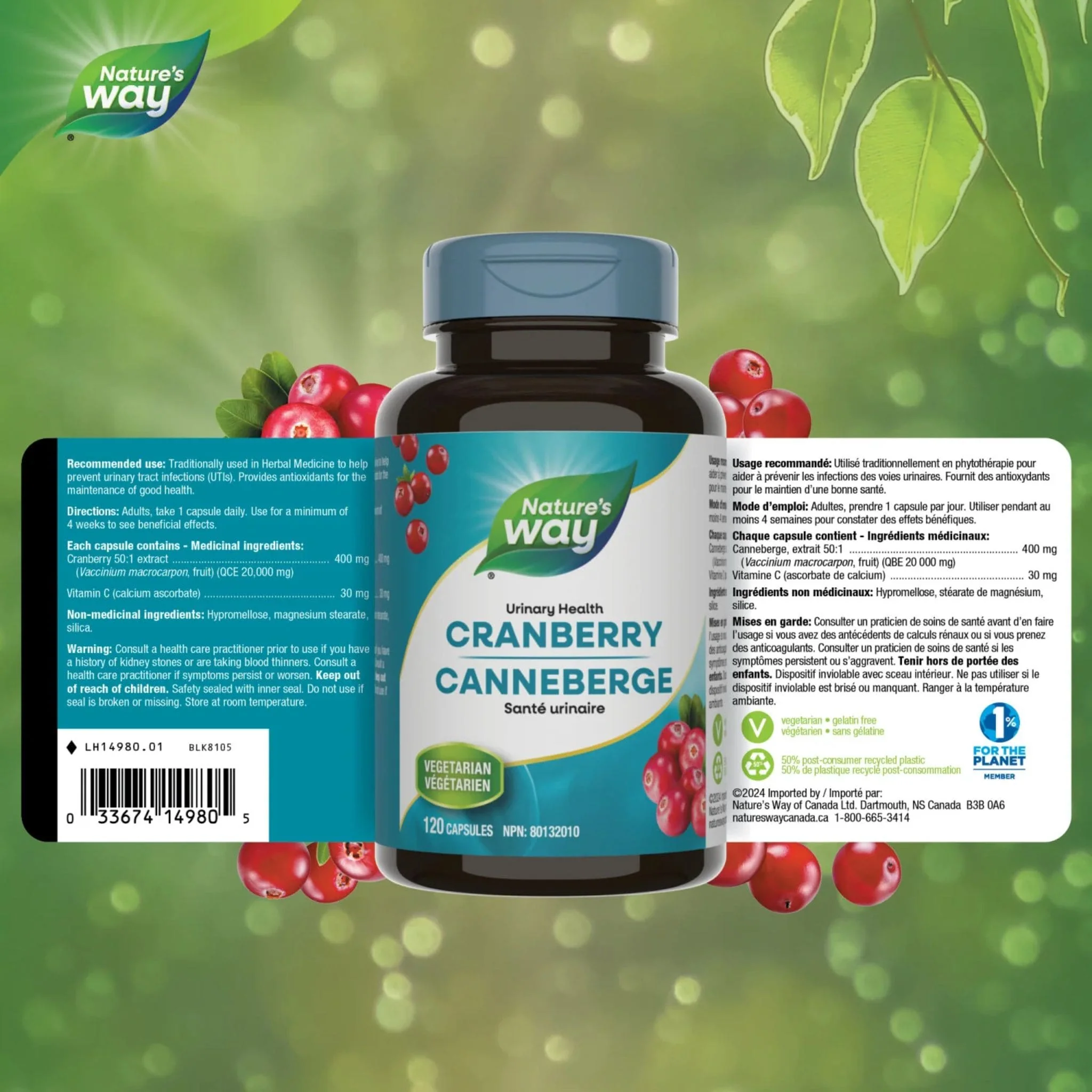 Nature's Way Cranberry Extract Capsules, Supports Urinary Health and Helps Prevent Recurrent UTIs, 120 Vegetable Capsules - Image 4