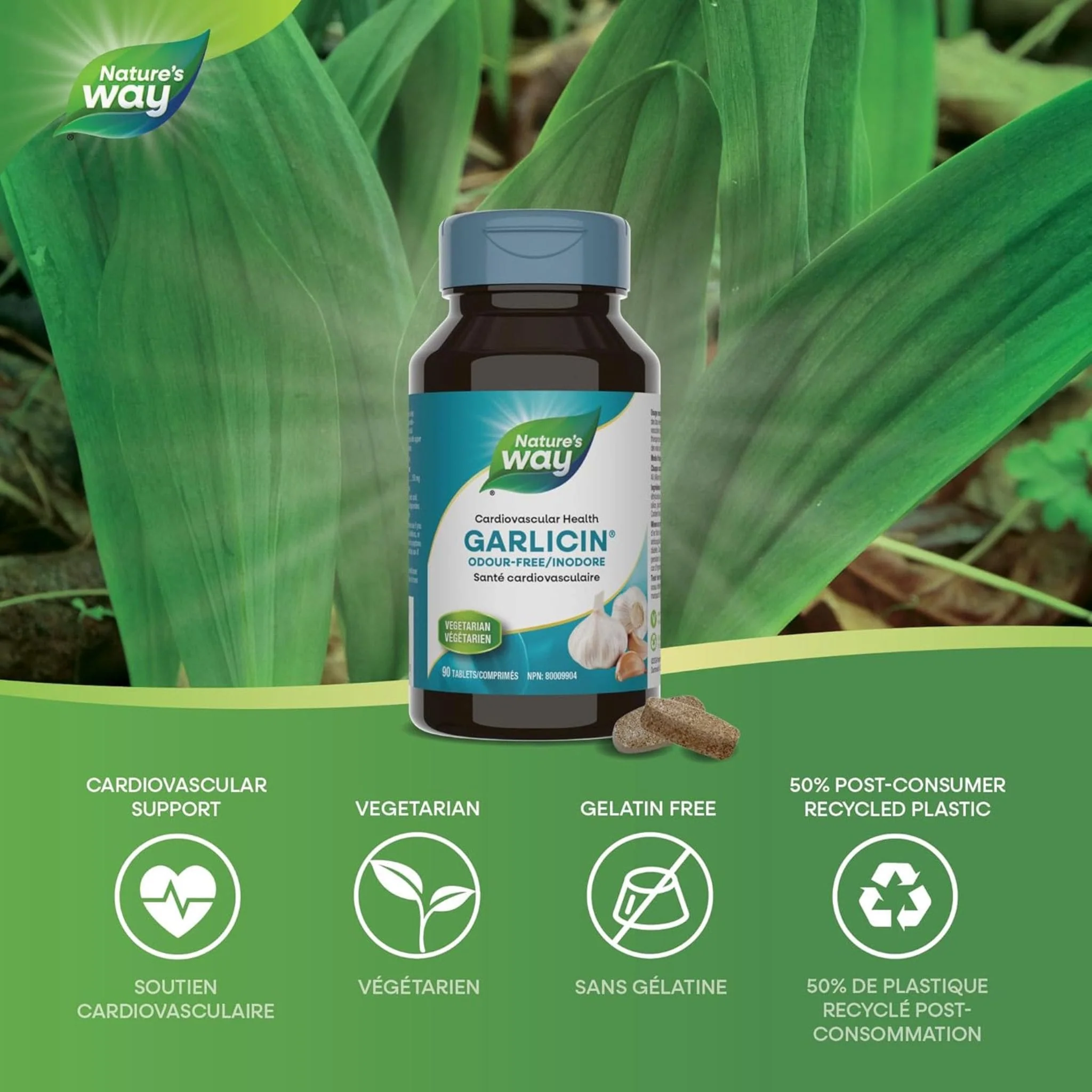 Nature's Way Garlicin, Odor-Free Garlic (Optimized Absorption), 90 SmartRelease Tablets - Image 3