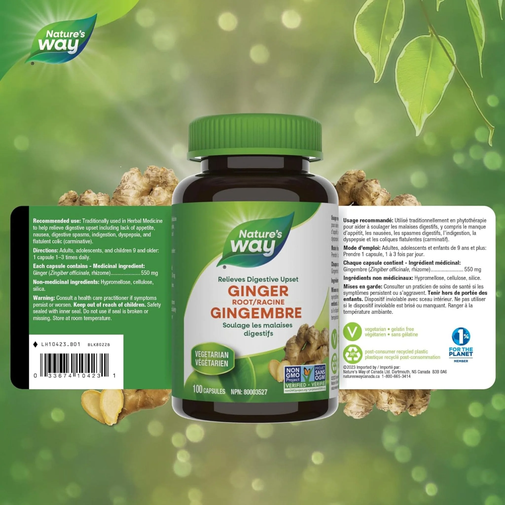 Nature's Way Ginger Root - Image 2
