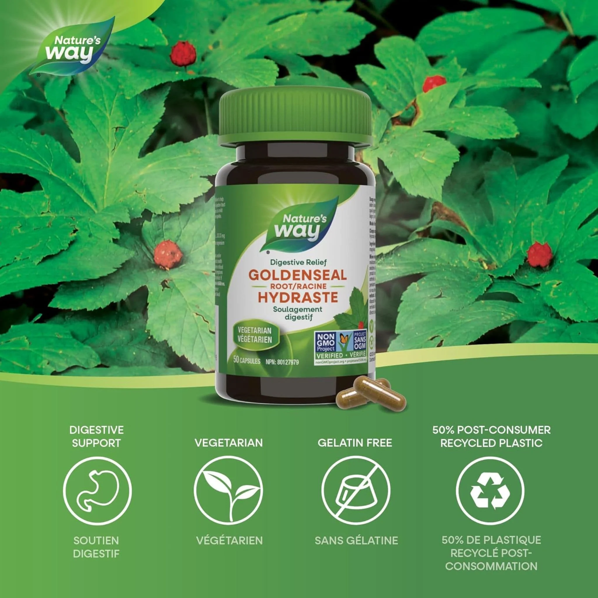 Nature's Way Goldenseal Root - Image 3