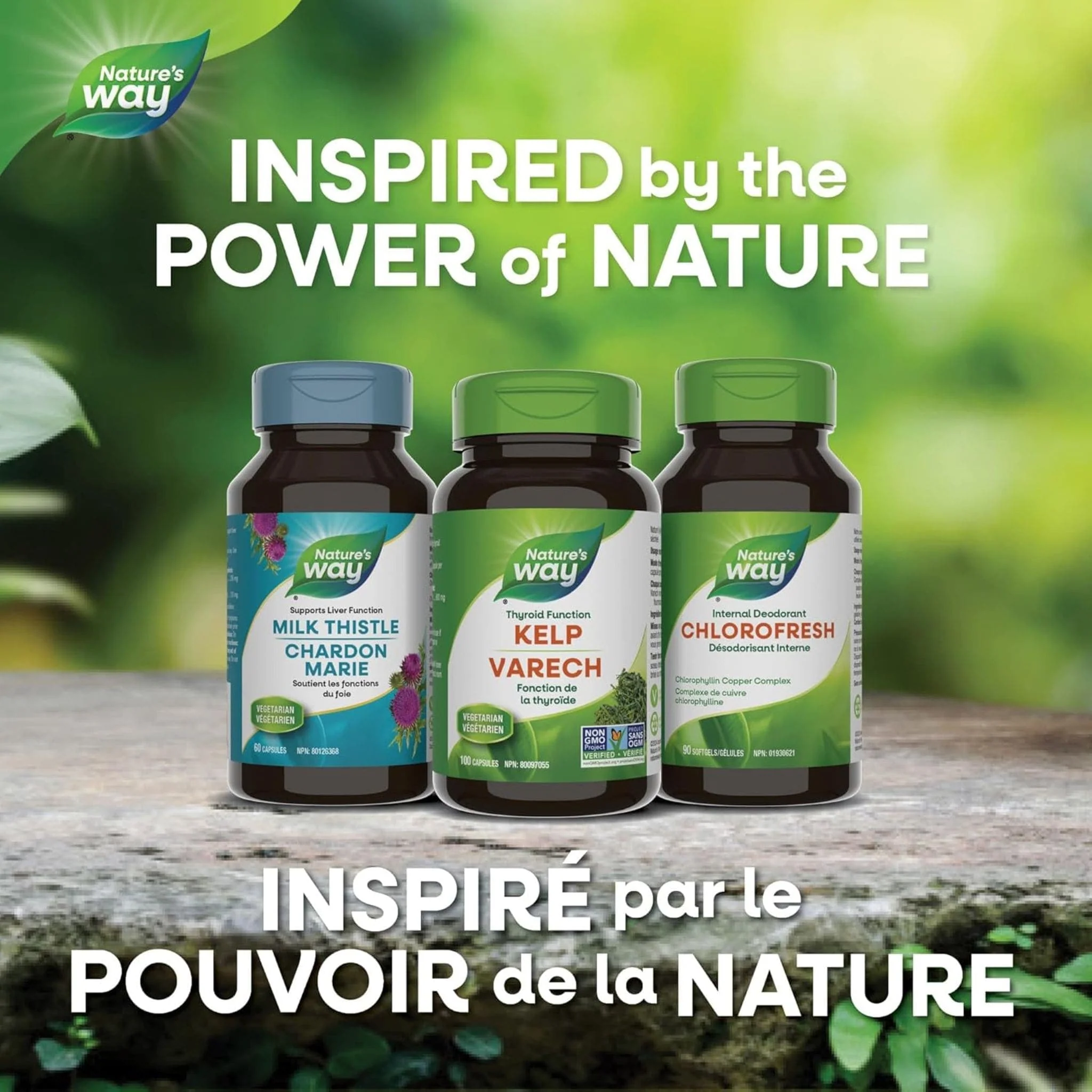 Nature's Way Kelp Capsules - Image 14