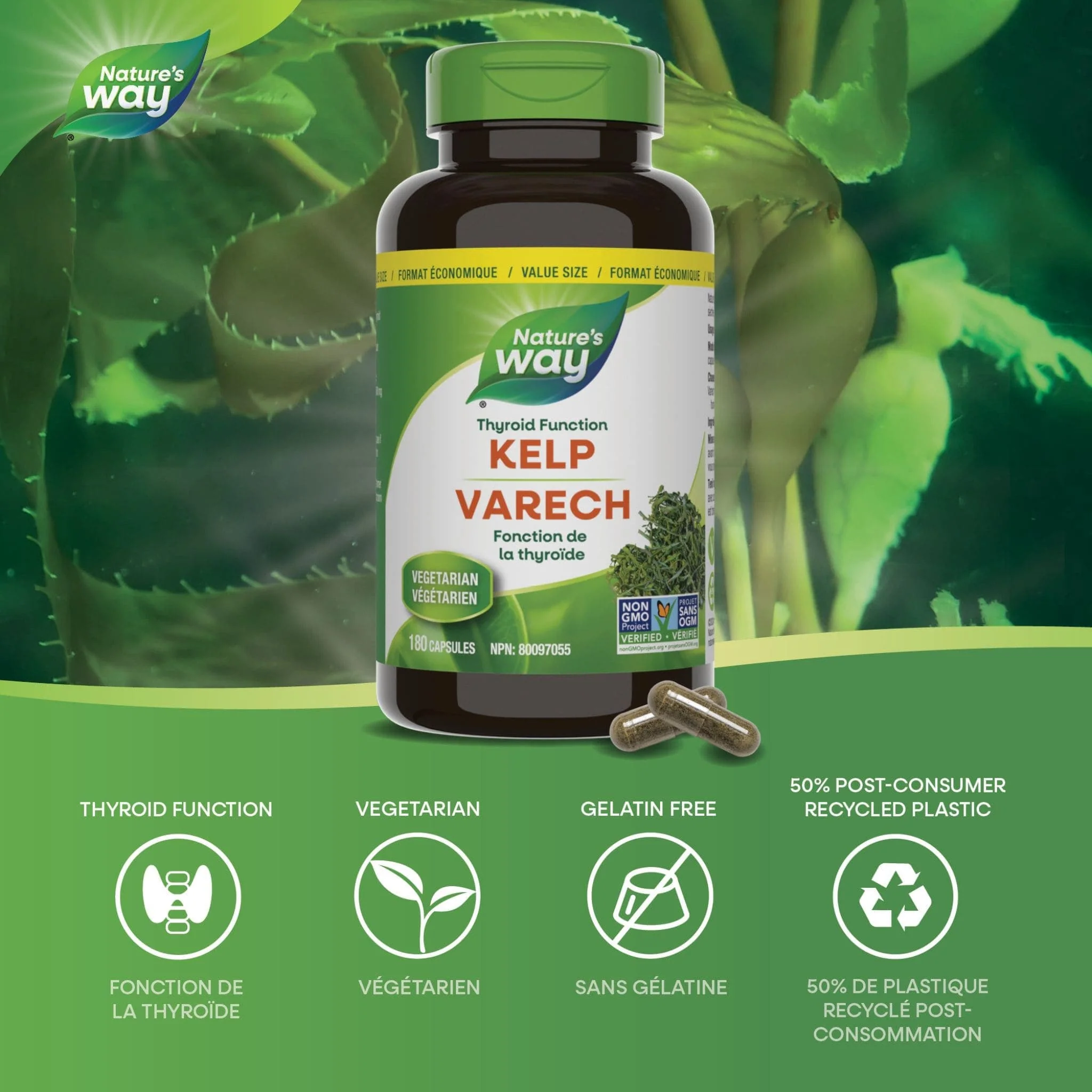 Nature's Way Kelp Capsules - Image 3