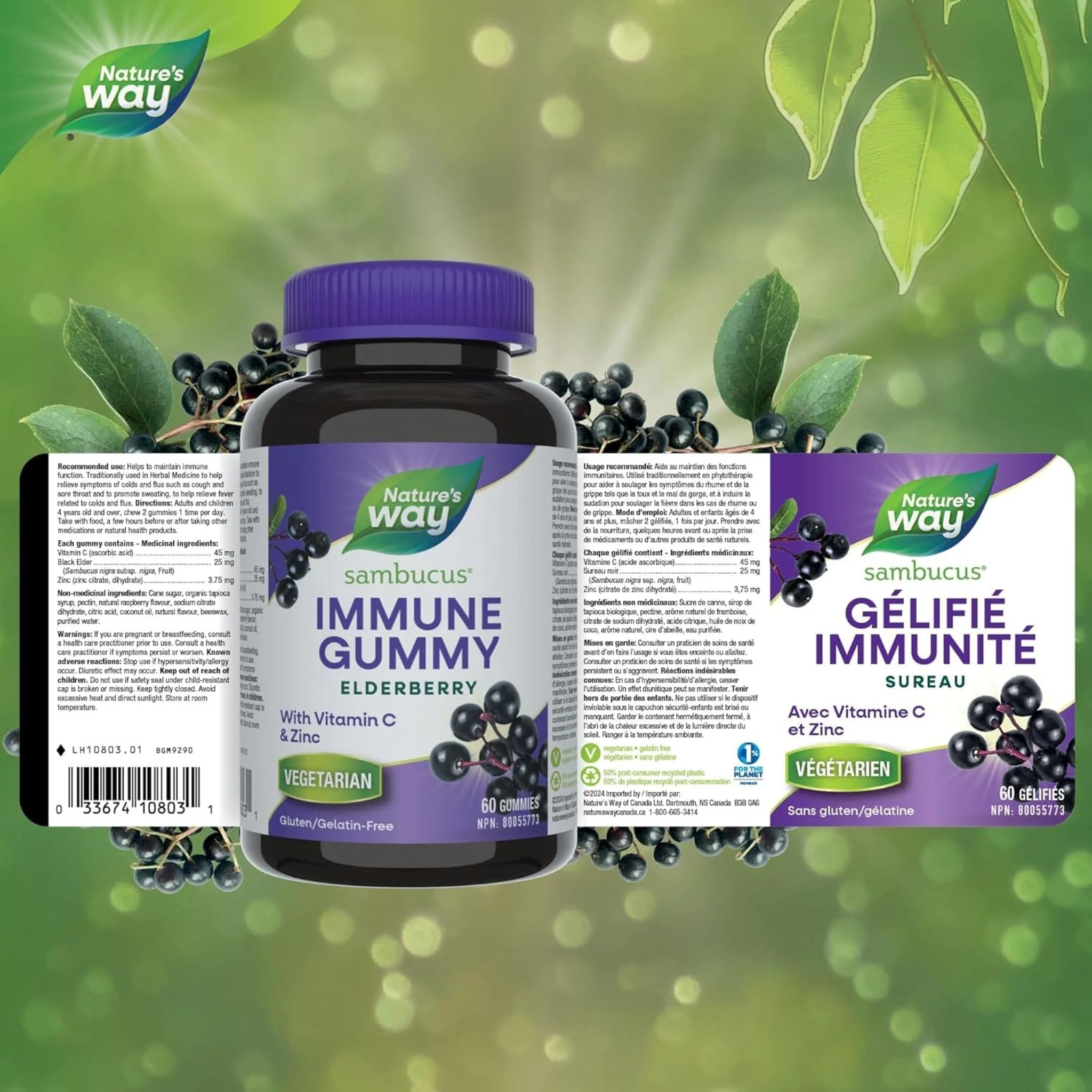 Nature's Way Sambucus Immune Gummies, Cold and Flu Relief, 60 Elderberry Gummies - Image 2