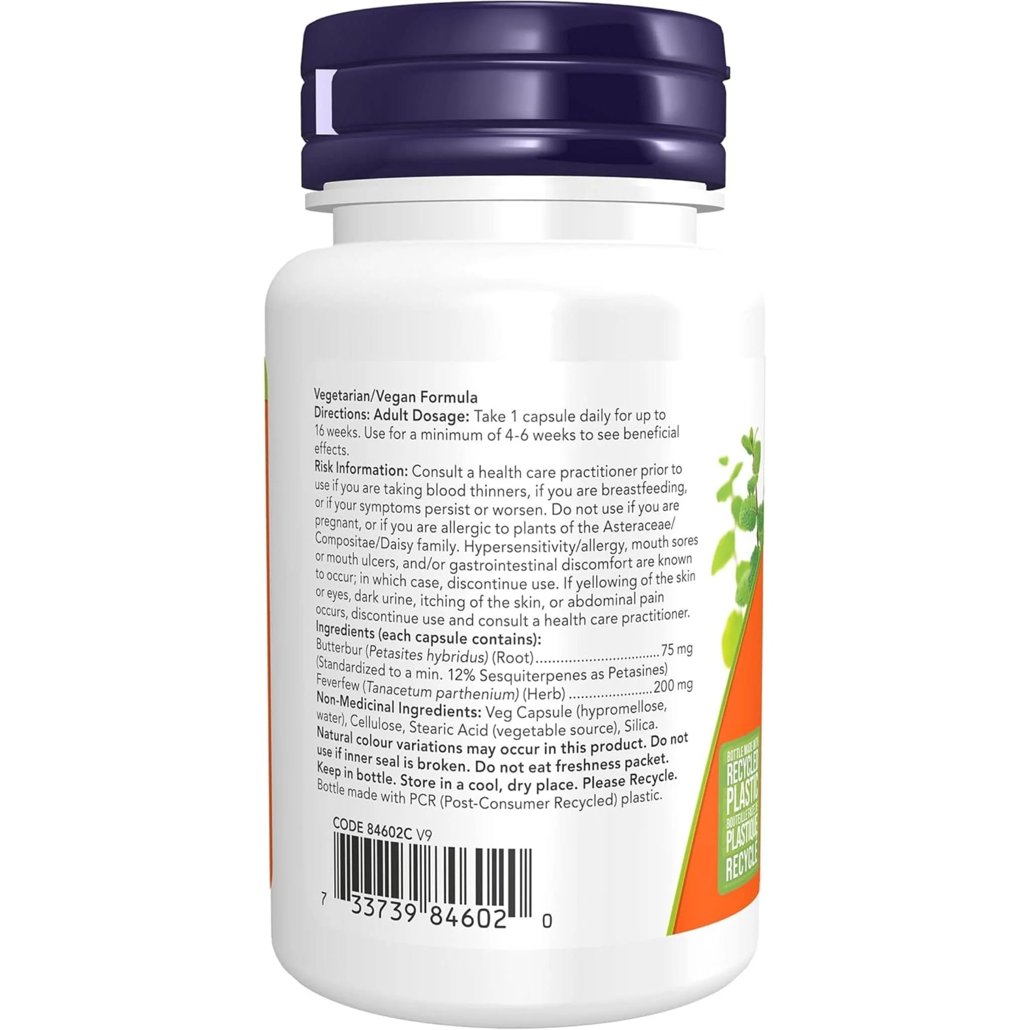 NOW Butterbur Extract 75mg/15%, 60 VCaps - Image 3