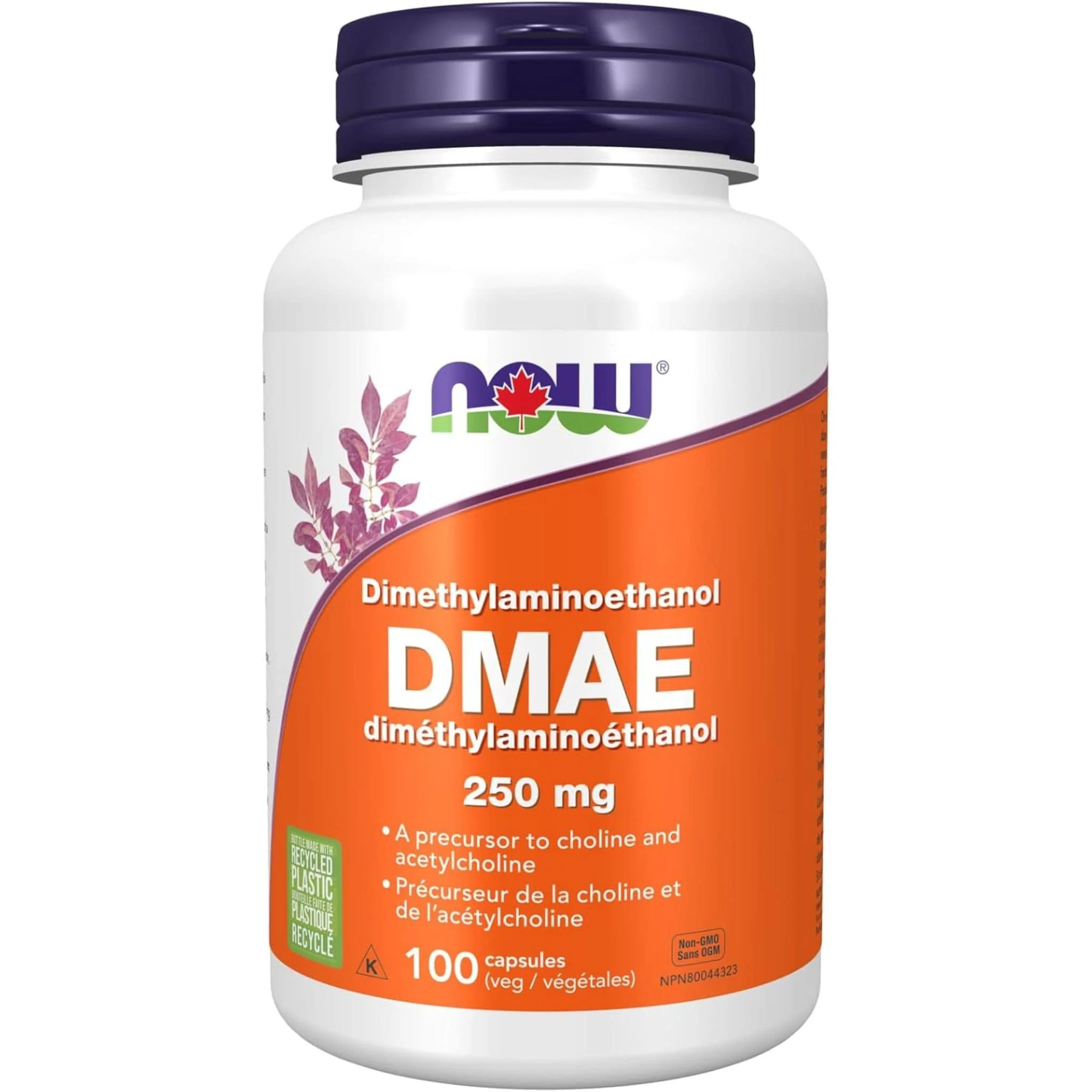 NOW DMAE 250mg, 100 Vcaps - Image 2