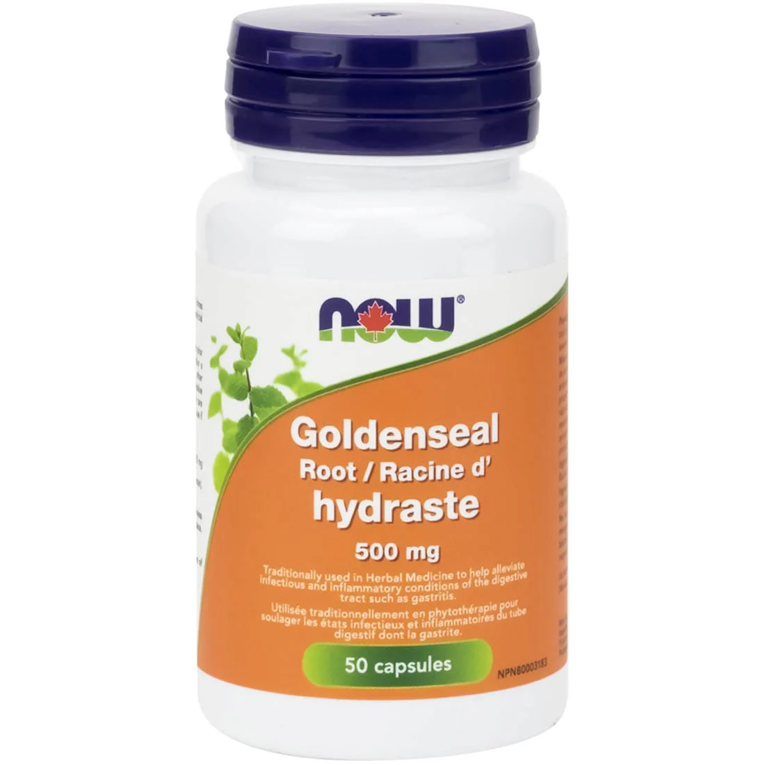 NOW Goldenseal Root, 500mg - Image 2