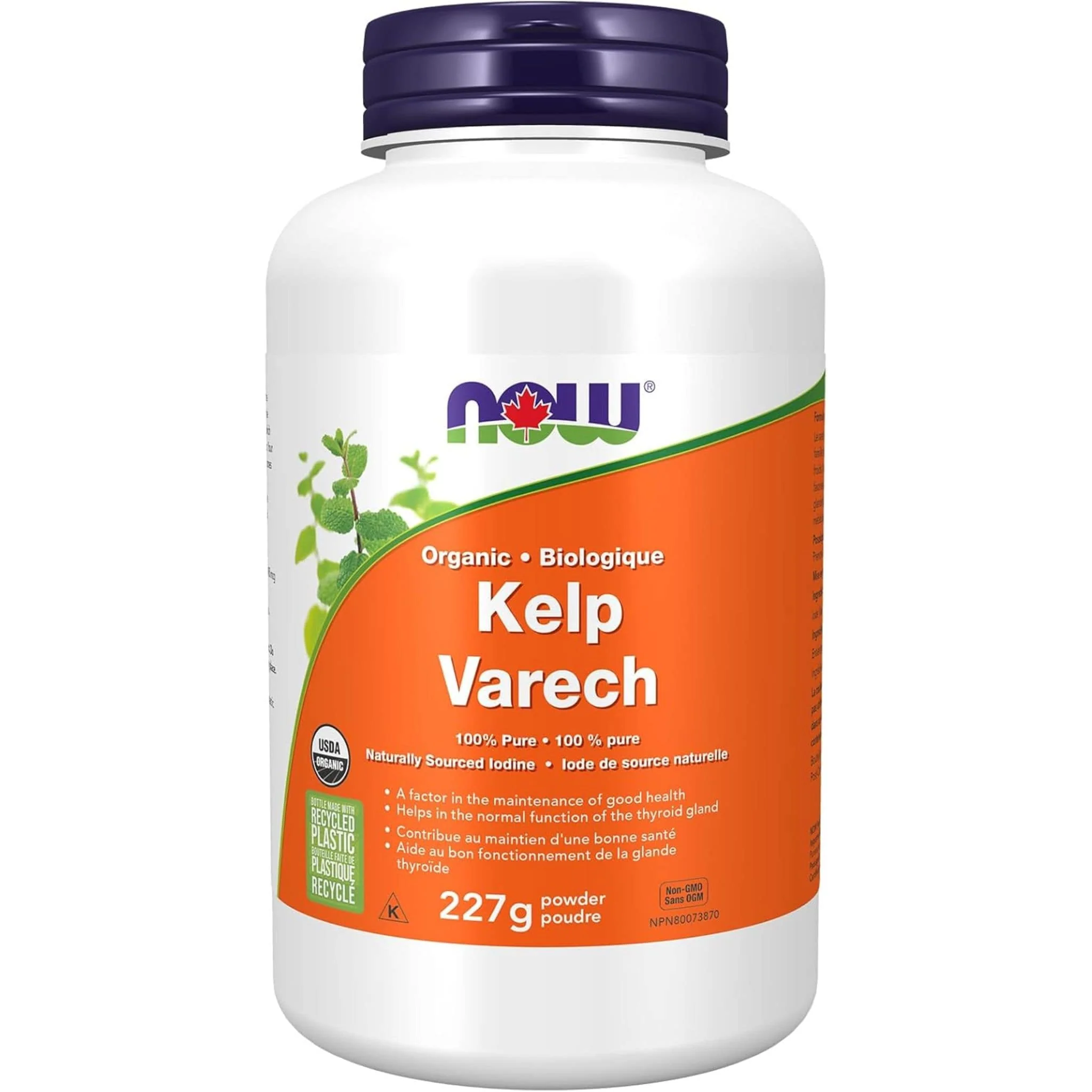 NOW Kelp Powder, 227g - Image 2