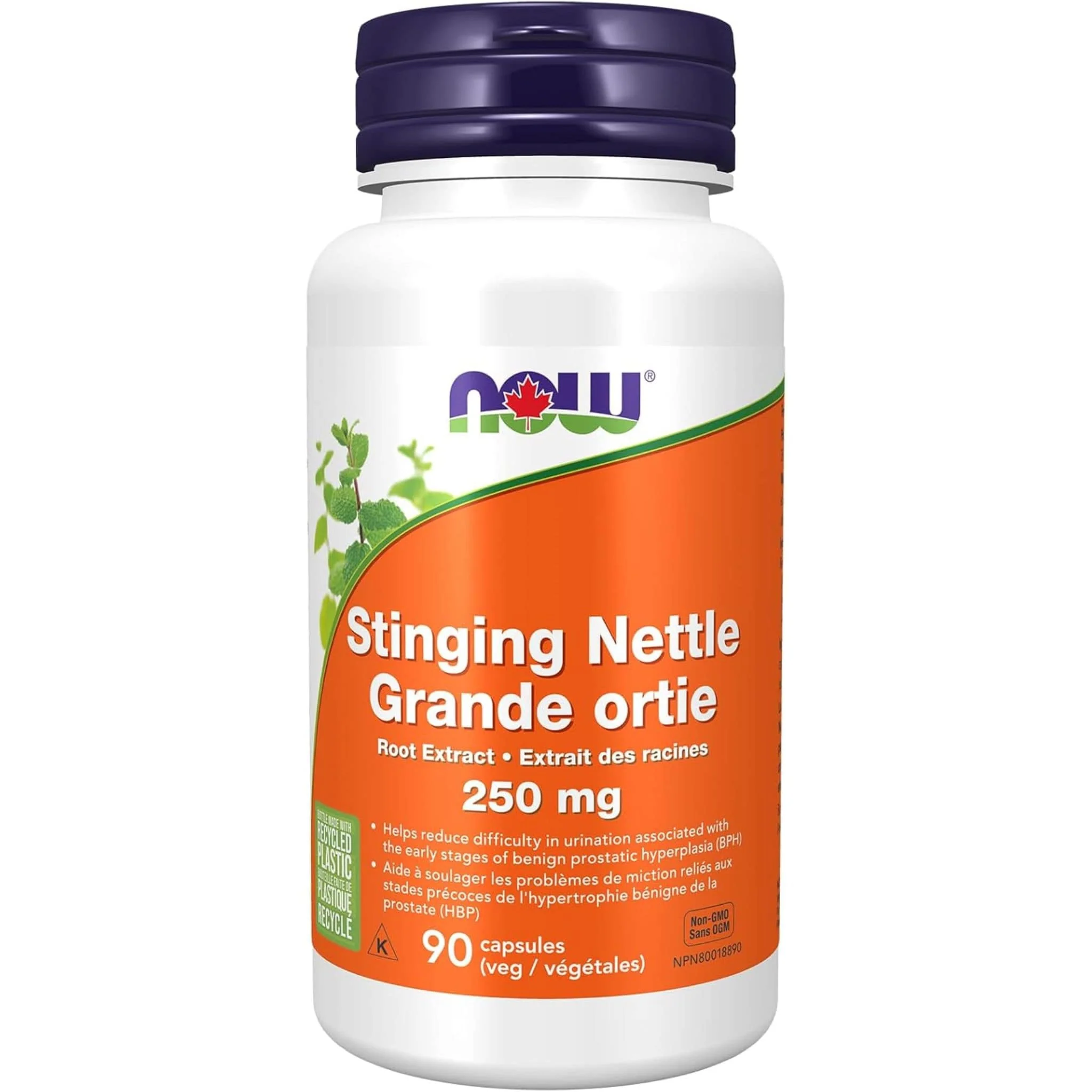 NOW Stinging Nettle Root Extract 250mg, 90 VCaps - Image 2