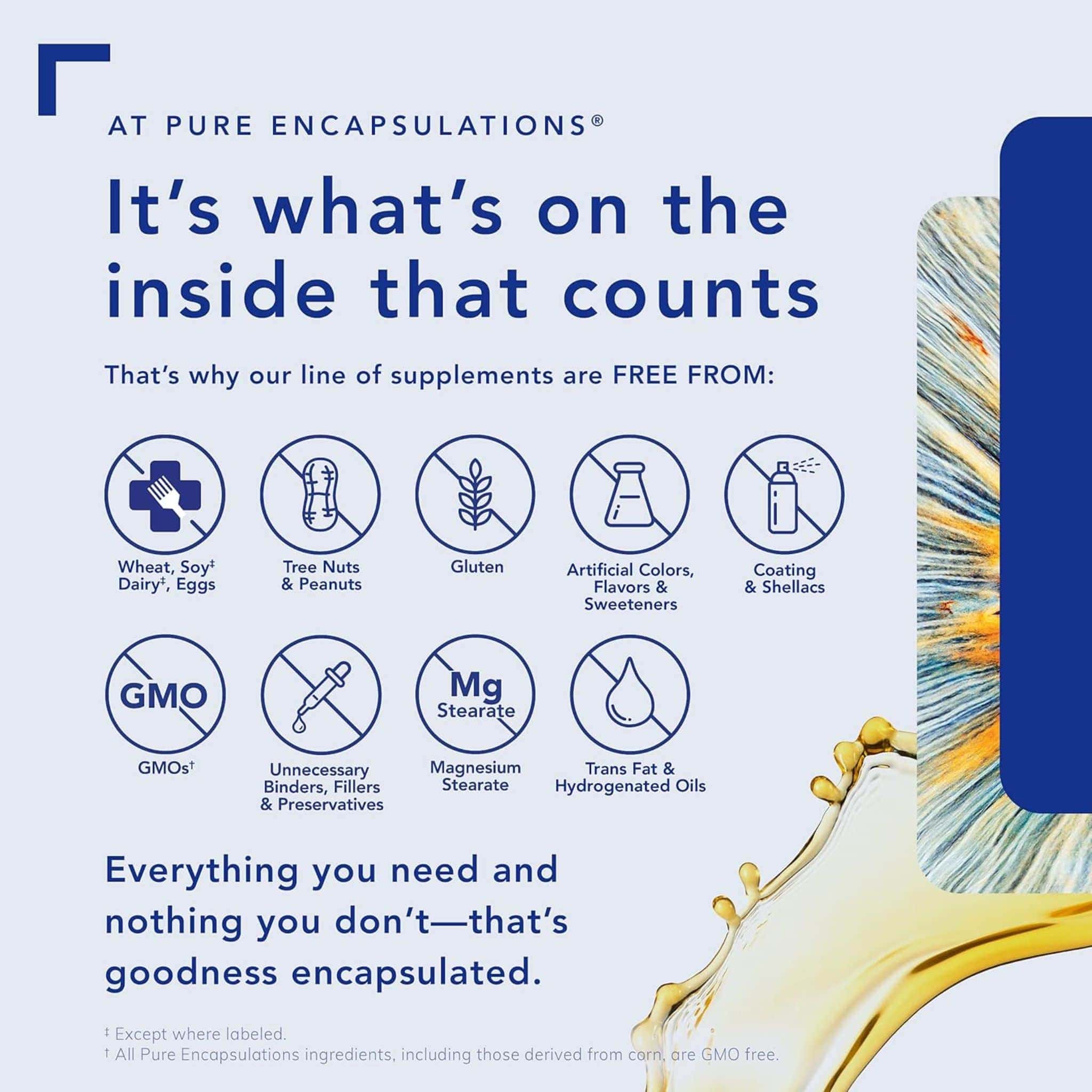 Pure Encapsulations Quercetin, Antioxidant Support for Capillaries and Blood Vessel Health, 120 Capsules - Image 3