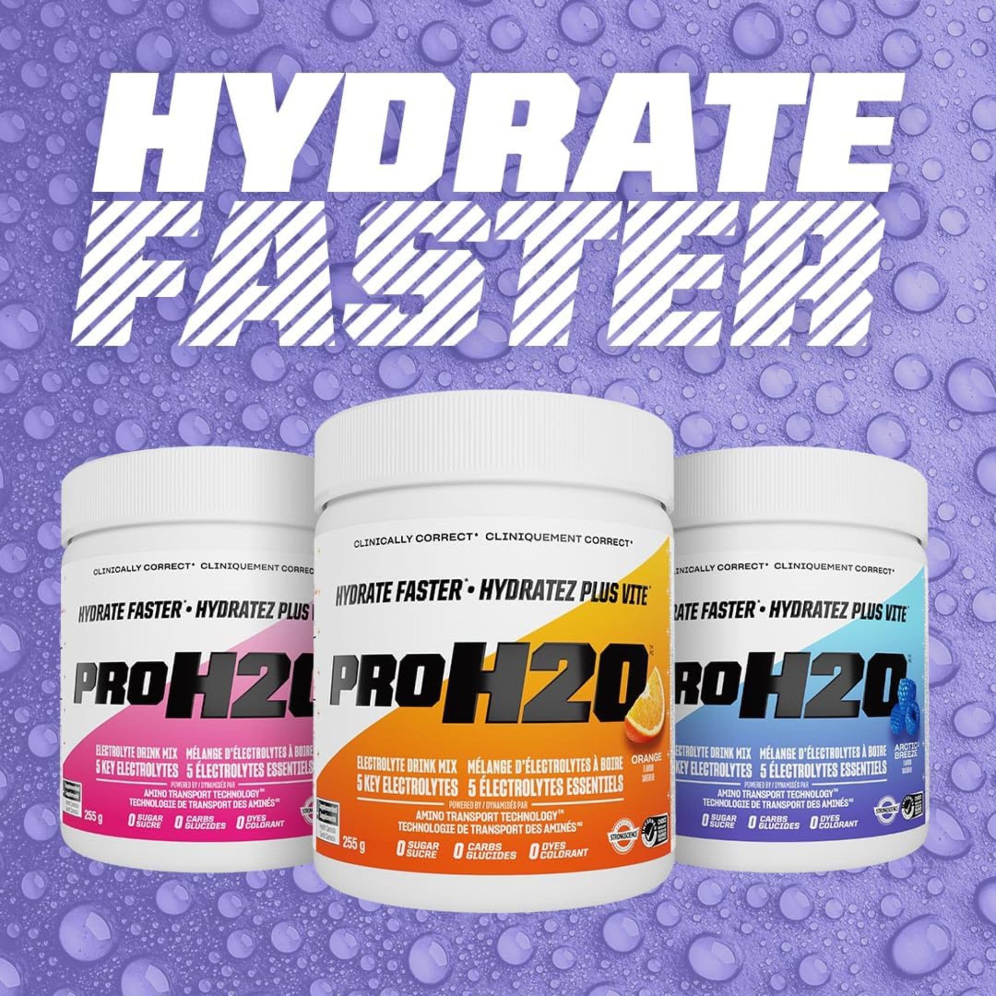 PVL Pro Series Pro H20, Rapid Hydration Electrolytes, 255g - Image 17