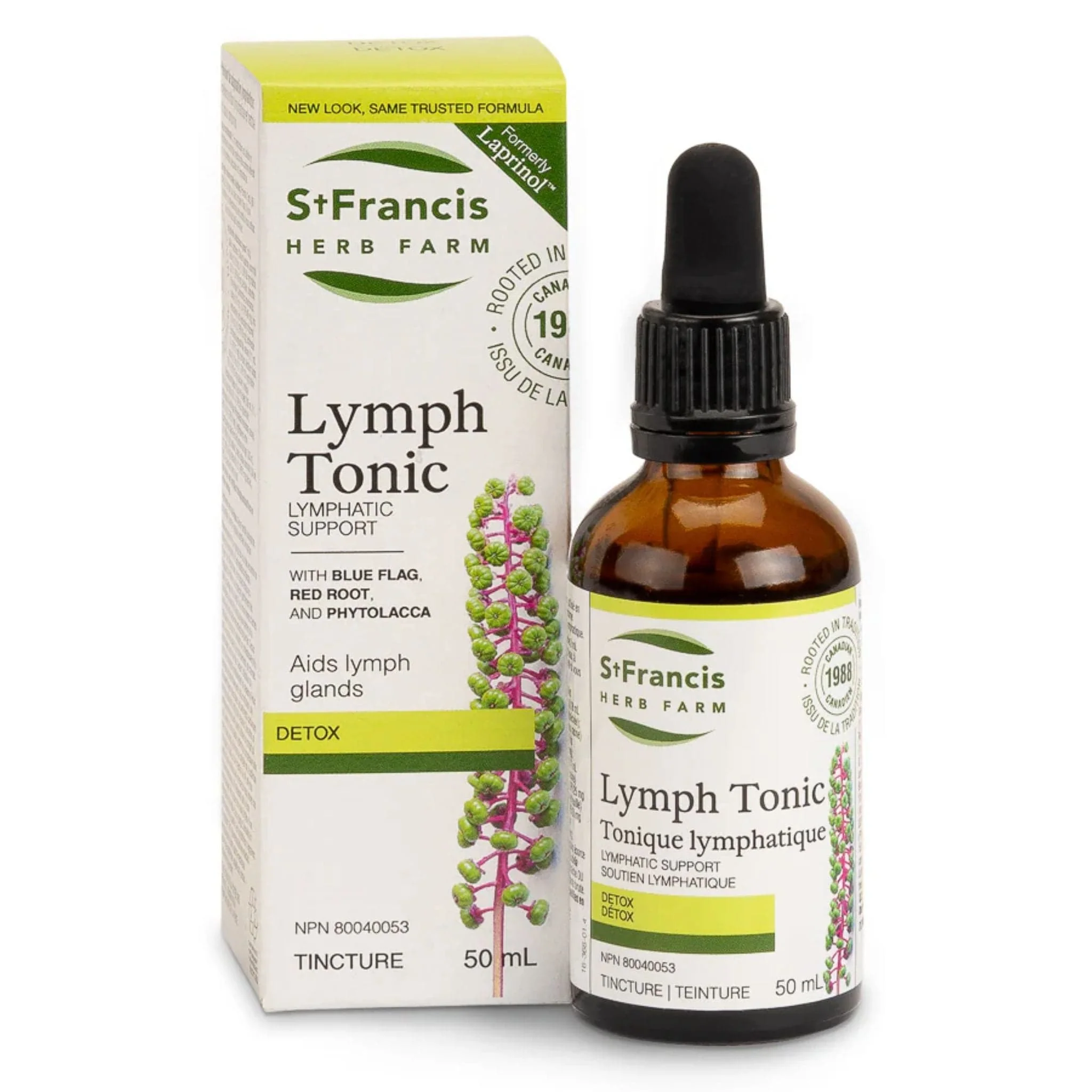 St.Francis Lymph Tonic, Support for Lymph Glands, 50ml - Image 2