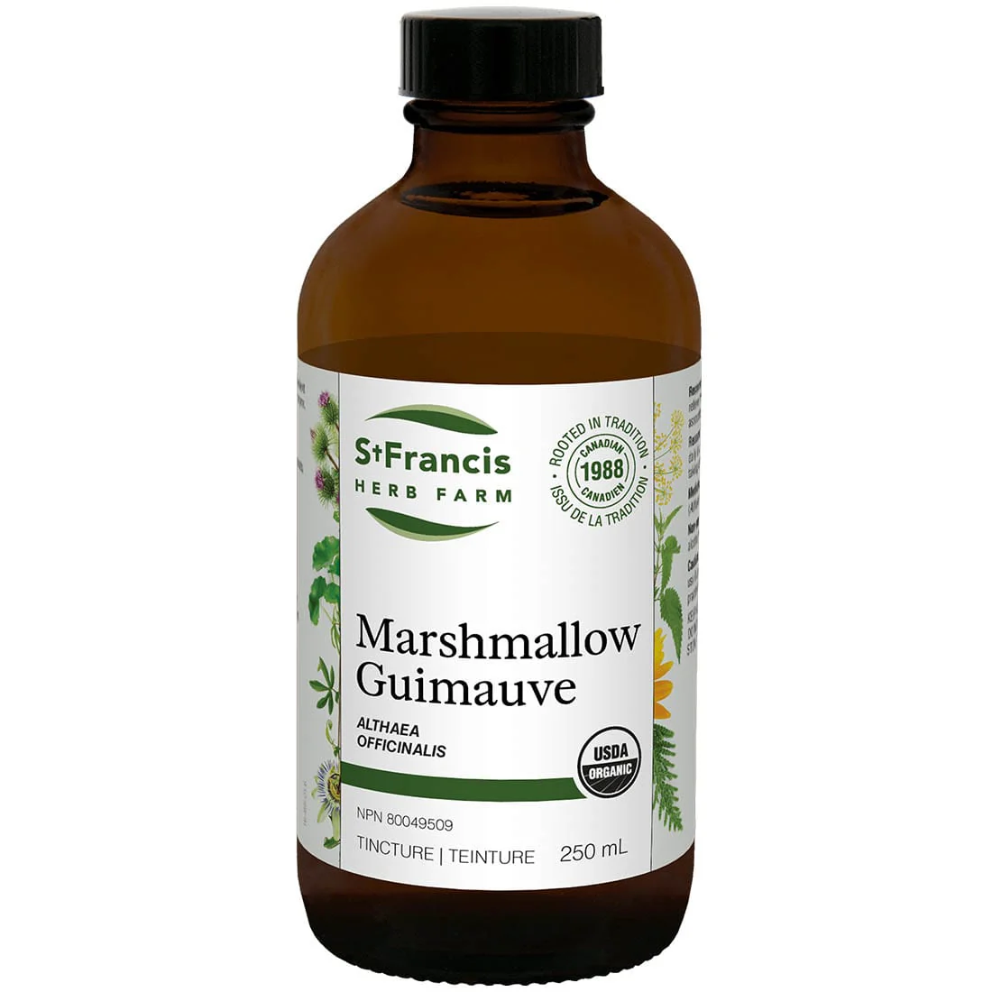 St. Francis Marshmallow Liquid - Image 4