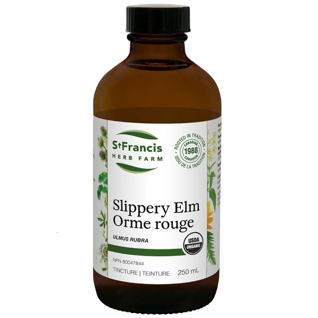 St. Francis Slippery Elm - Image 4
