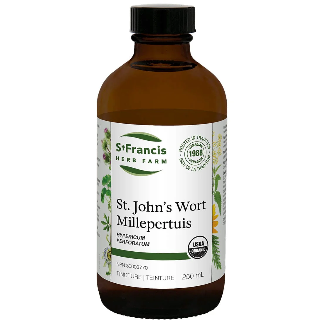 St. Francis St. John's Wort Liquid Tincture - Image 4
