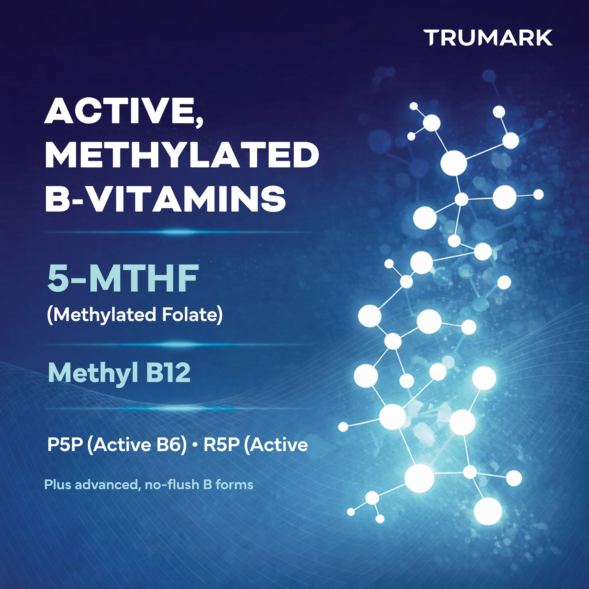 TRUMARK TRU-B Methylated B-Complex, With 5-MTHF Folate, Methyl B12, P5P B6 & R5P Riboflavin for Energy, Methylation and Stress Support, 90 Vegetable Capsules - Image 3