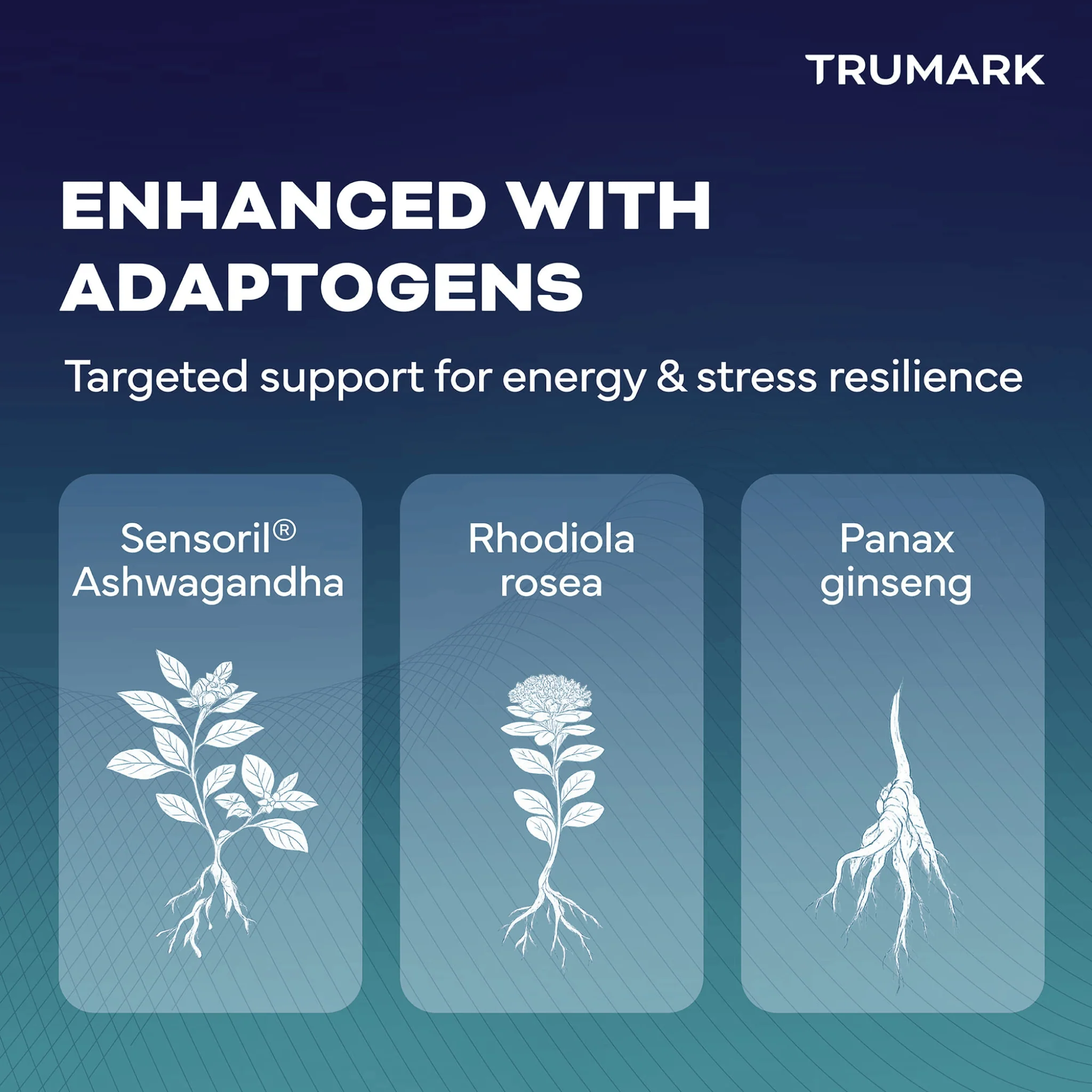 TRUMARK TRU-B Methylated B-Complex, With 5-MTHF Folate, Methyl B12, P5P B6 & R5P Riboflavin for Energy, Methylation and Stress Support, 90 Vegetable Capsules - Image 7